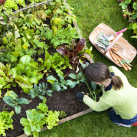 Garden Maintenance Brixton